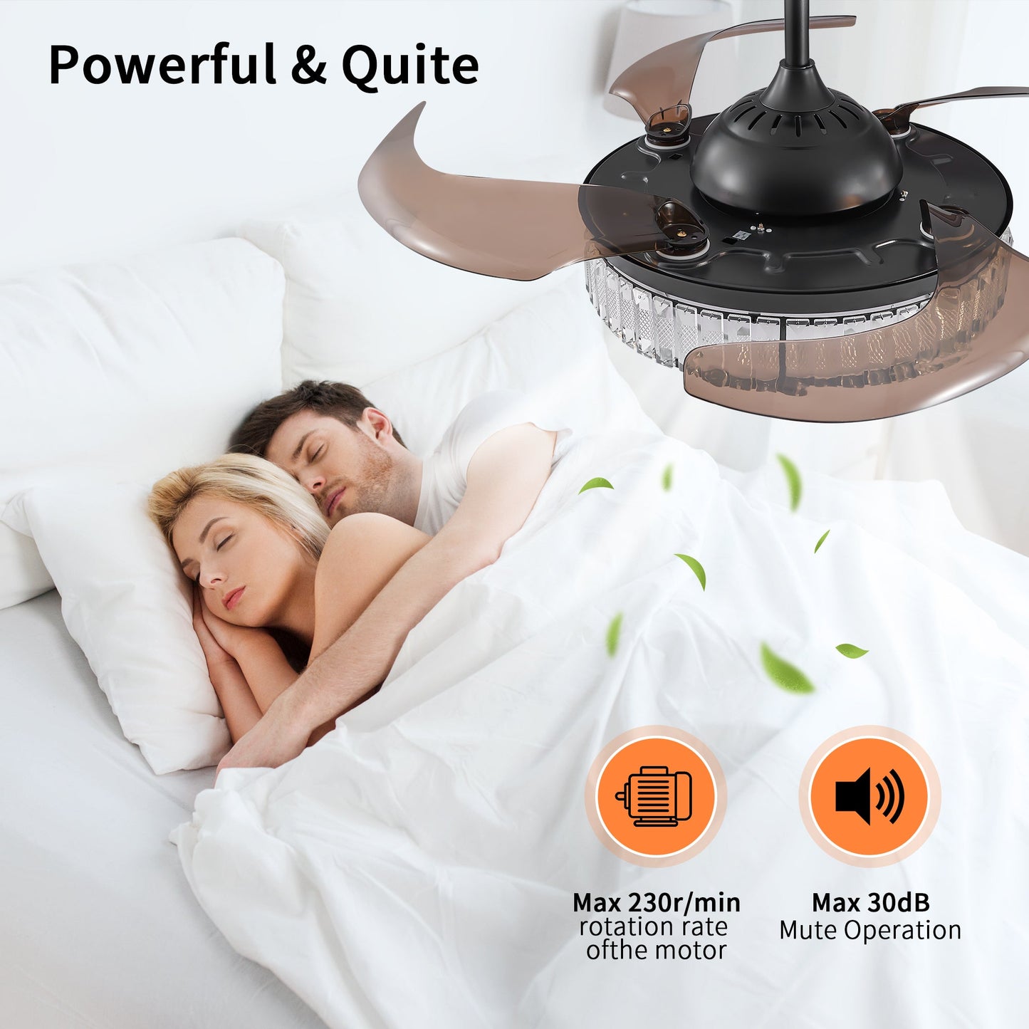 Contemporary LED Retractable Ceiling Fan With Light and Remote Control, Quiet Reversible Motor