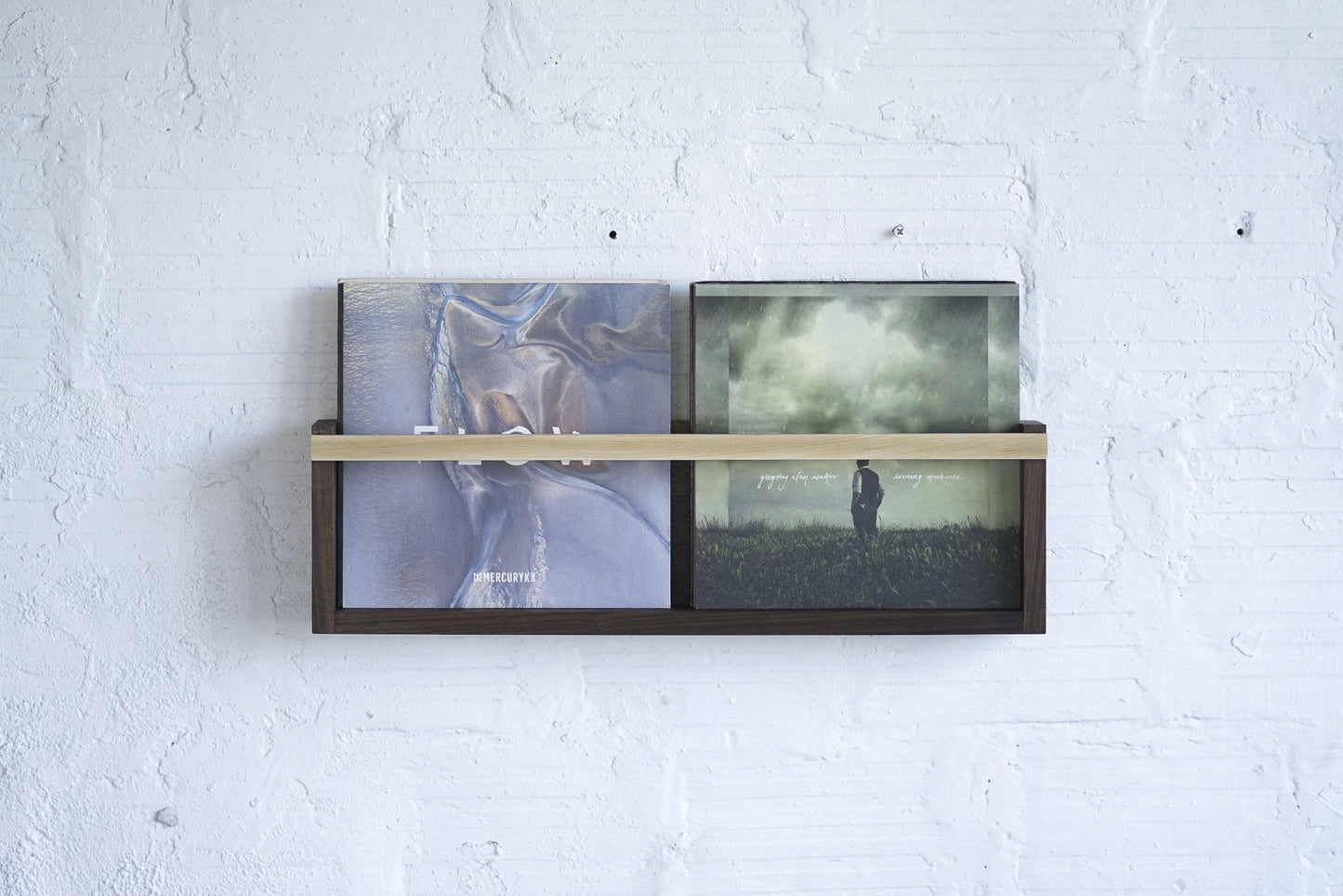 Modern Magazine & Vinyl Wall Rack