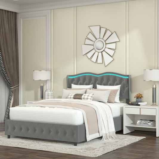 Queen Platform Bed Frame , Velvet Upholstered Bed With Deep Tufted Buttons and Nailhead Trim, Adjustable Colorful LED